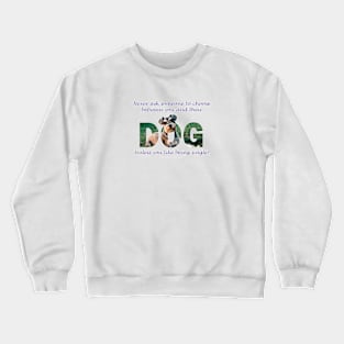 Never ask someone to choose between you and their dog unless you like being single - Schnauzer oil painting word art Crewneck Sweatshirt